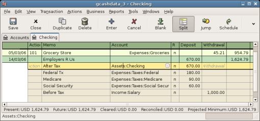 Salary In The Assets:Checking Account