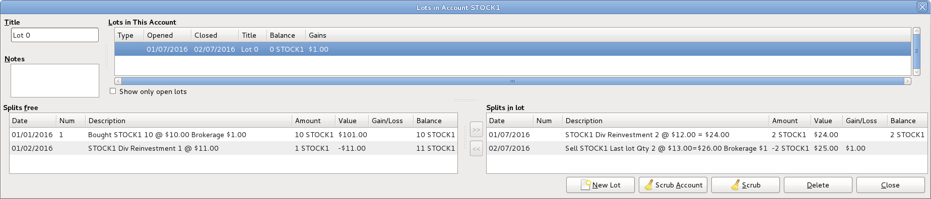Example of Lots in Account window