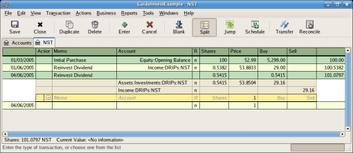 Example of dividend reinvestment transactions